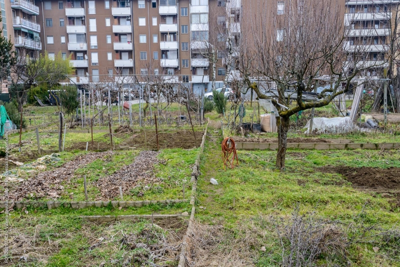 Novara periferia (2) - Gennaio