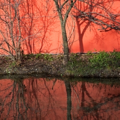 Profondo Rosso