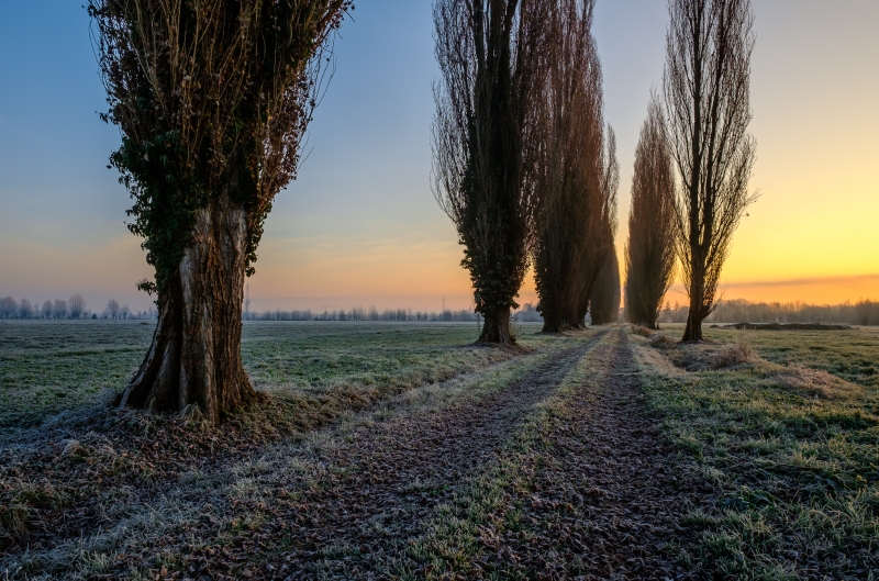 Alba in campagna