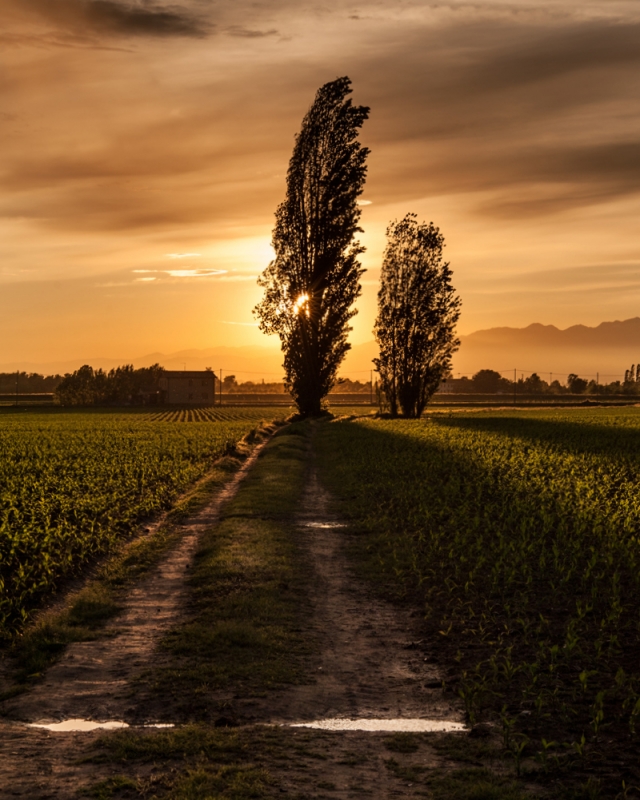 La strada di campagna