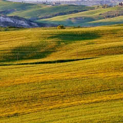 Luci ed ombre in Val d'Orcia