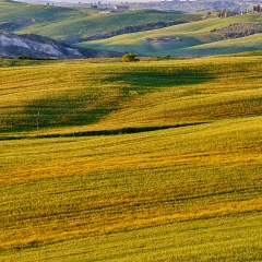 Luci ed ombre in Val d'Orcia