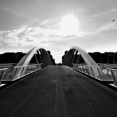 Nascita di un ponte