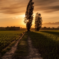 La strada di campagna