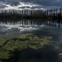 Prima del Temporale