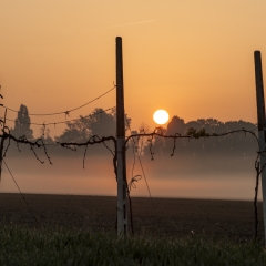 Sembra autunno