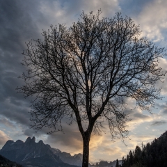 le pale di san martino viste da mezzano