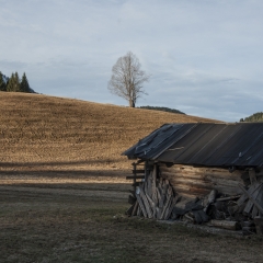 L'abbandono