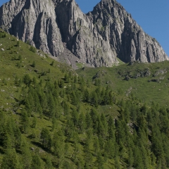 Cime di Colbricon - Lagorai - Trentino