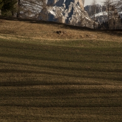 Concime naturale