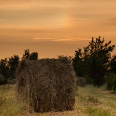 L'estate  arrivata