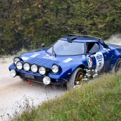 14 Revival Rally Club Valpantena - 3-5 novembre 2016