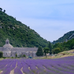 Provenza - Francia