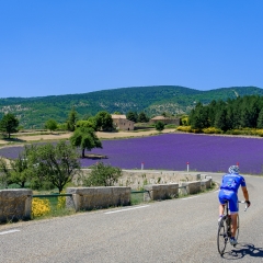 Provenza - Francia