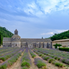 Provenza - Francia