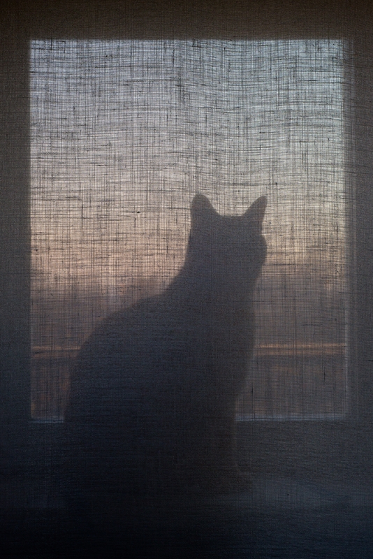 Vincent alla finestra