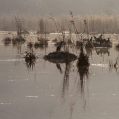 Lago di Fimon