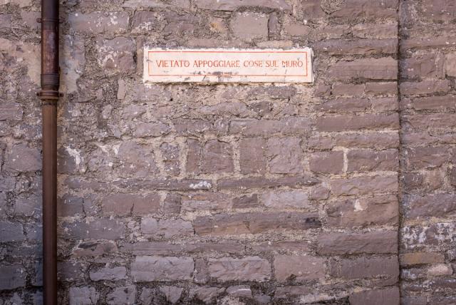 Immagine Allegata