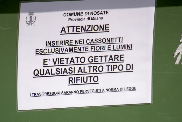 Immagine Allegata: D8X_0683.jpg