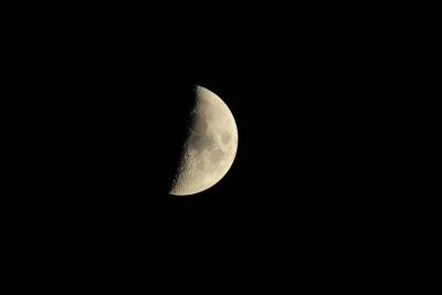 Immagine Allegata: luna.jpg