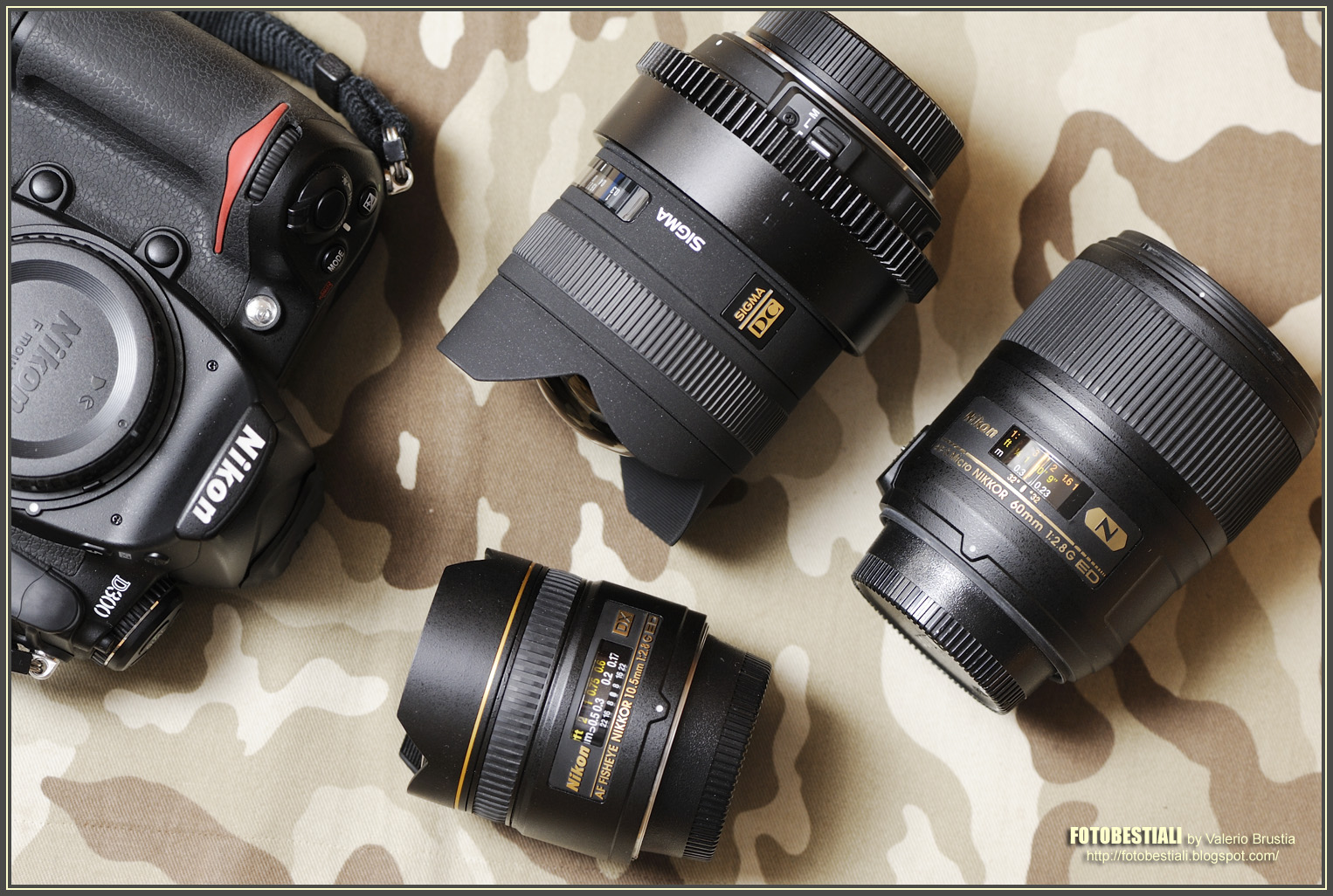 Sigma DC 8-16mm F4.5-5.6 HSM : the extremely wide (test/review