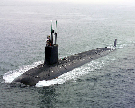 Immagine Allegata: virginia.jpg