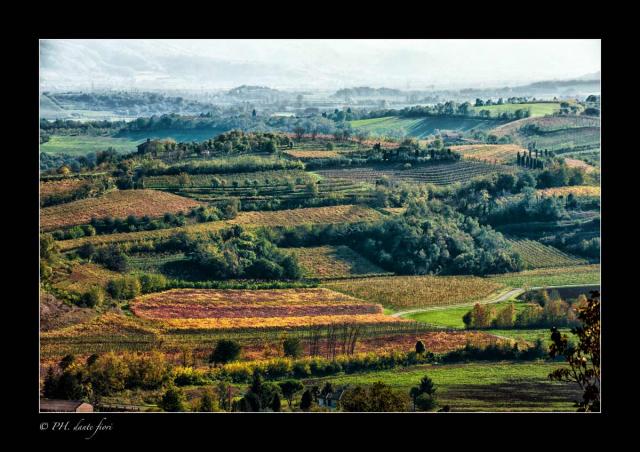 colline-di-mossano.jpg