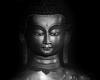 [reportage] Mudra: le mani del Buddha